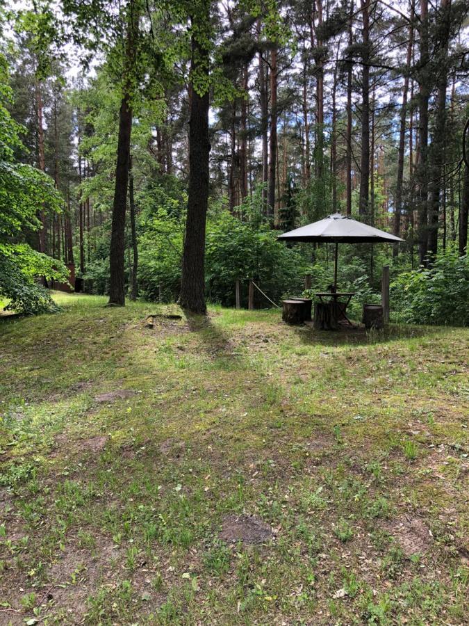 Oravapesa Guest House Häädemeeste Kültér fotó